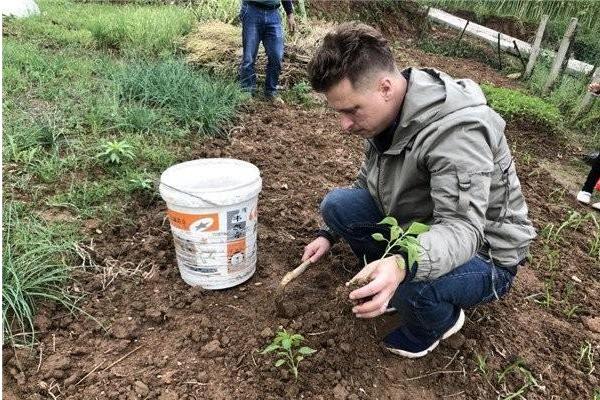 美国女婿在中国生活8年回国哭,美国女婿种辣椒岳阳