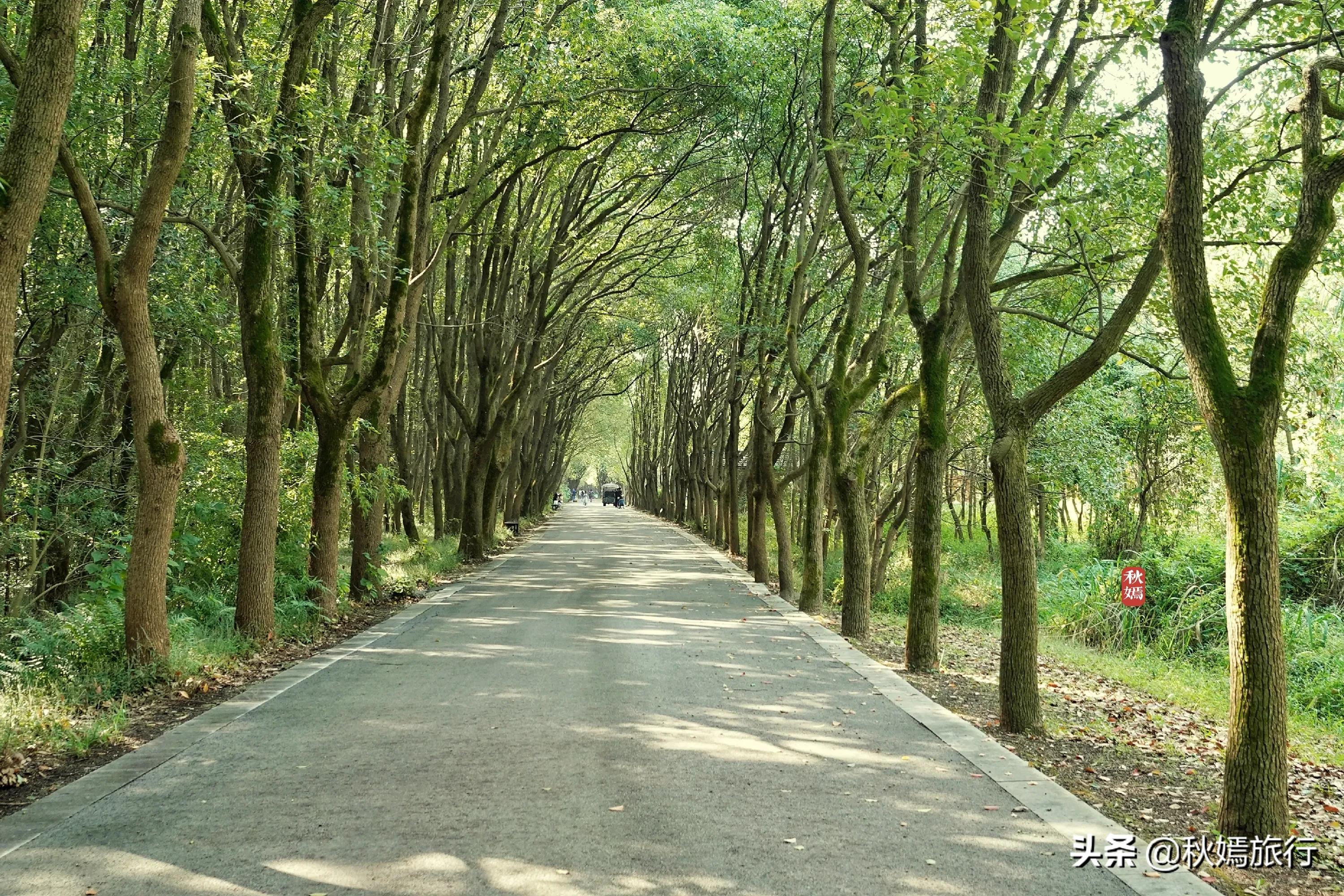苏州吴中太湖新城苏州湾湿地公园,苏州湿地免费公园虎丘