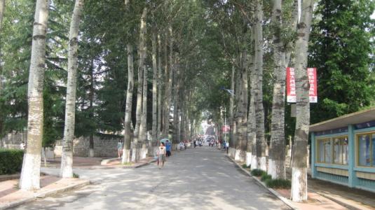 山东省烟台市芝罘区鲁东大学,山东省烟台市鲁东大学