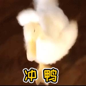 “黄鼠狼盯上过年鸡”，仅24小时，俩“*贼毛**”就被威远公安抓住了