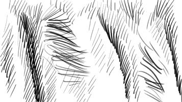 岳麓区执行悬赏公告,长沙岳麓区悬赏通告