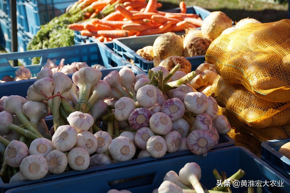 每年吸金数百亿：大蒜电子盘，生命周期短暂！凭什么让*欲人**罢不能
