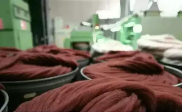 怎样挑选真正的纯羊毛大衣,双面呢羊毛大衣知识讲解