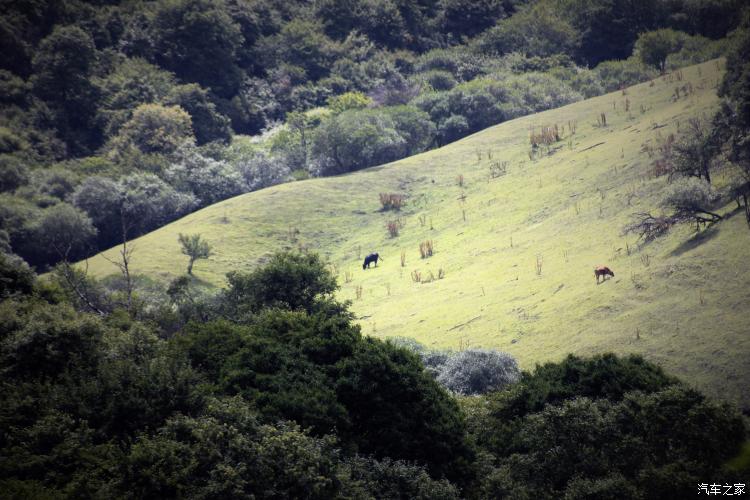 难忘的草原简谱完整版,难忘的草原女声完整版