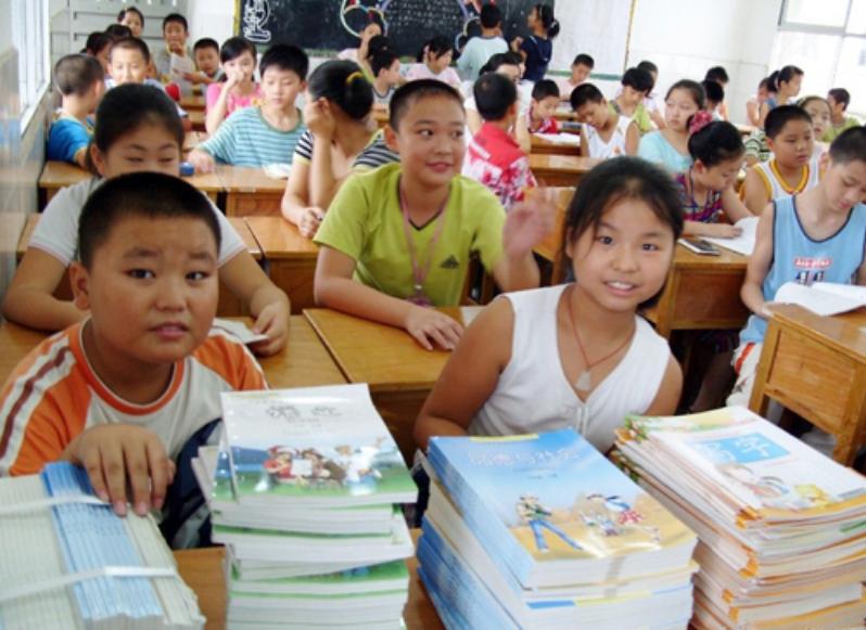 人大代表最新教育建议,人大代表对九年义务教育的意见