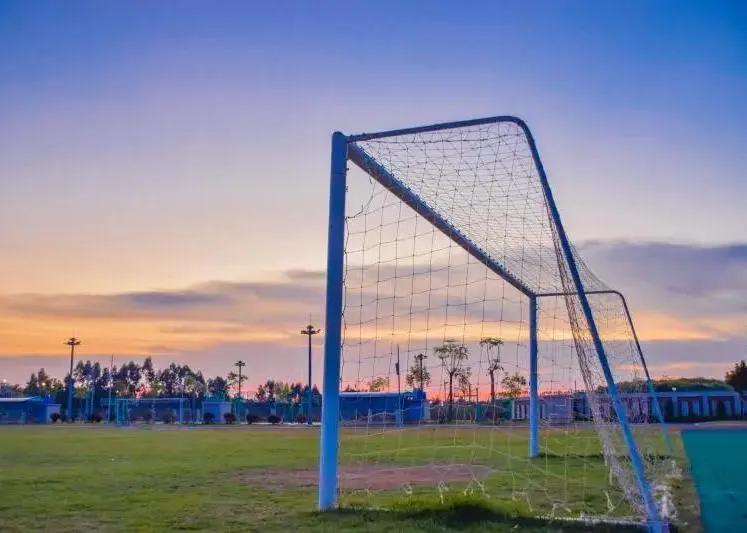 东莞东华高级中学是私立吗,东莞东华高级中学办学特点