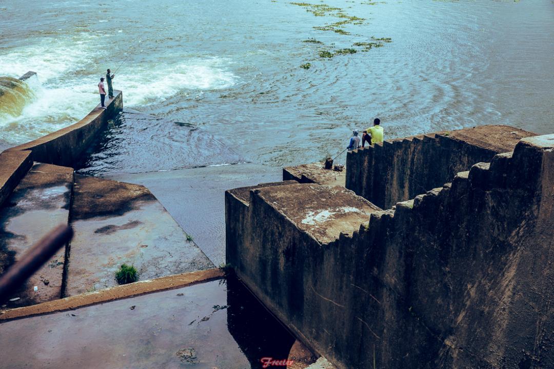 龙塘有哪些好吃的,清远龙塘海鲜大排档