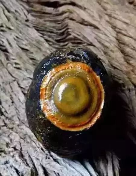 80种中国奇石图谱,临洮洮河奇石图谱