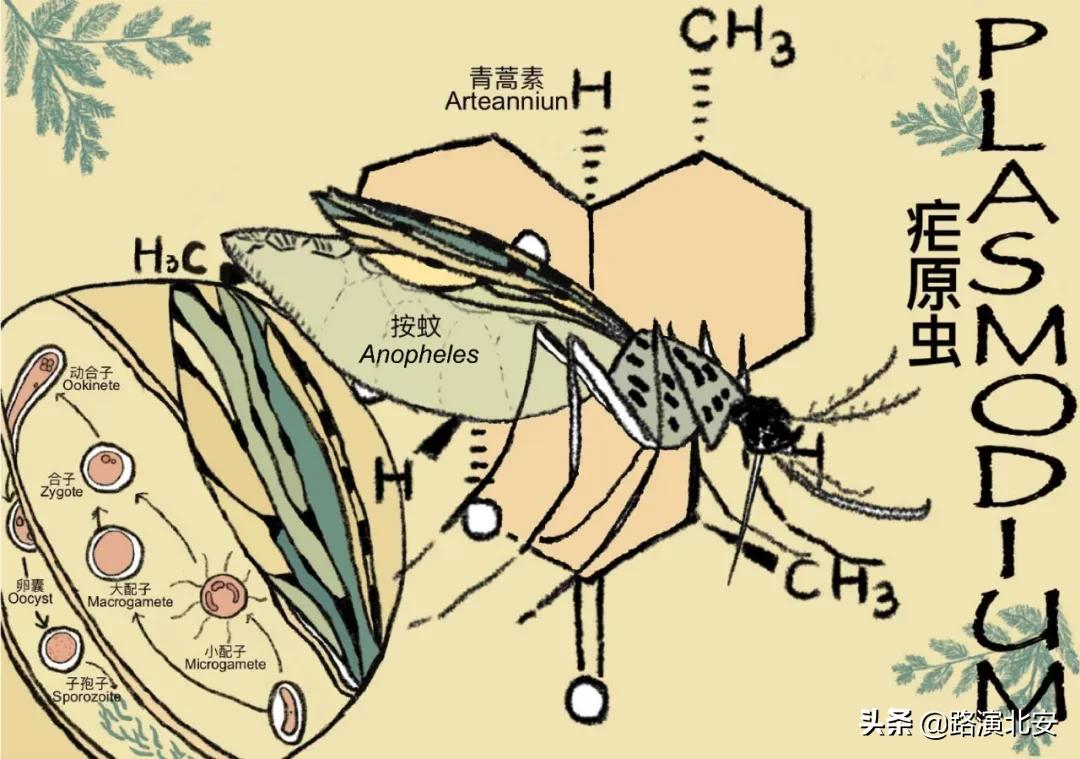 生命的故事绘本视频,生命的故事绘本绘画