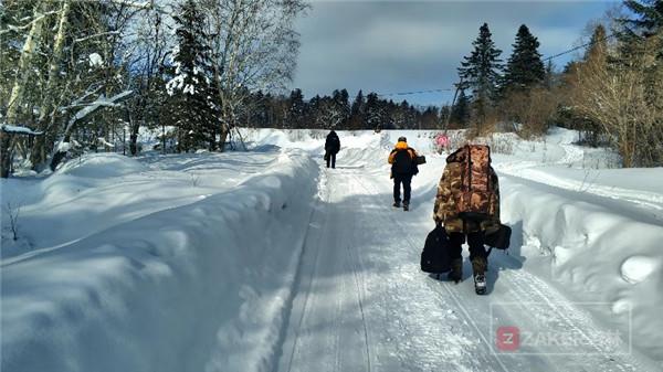 吉林省延边发现紫貂,长白山拍到野生紫貂