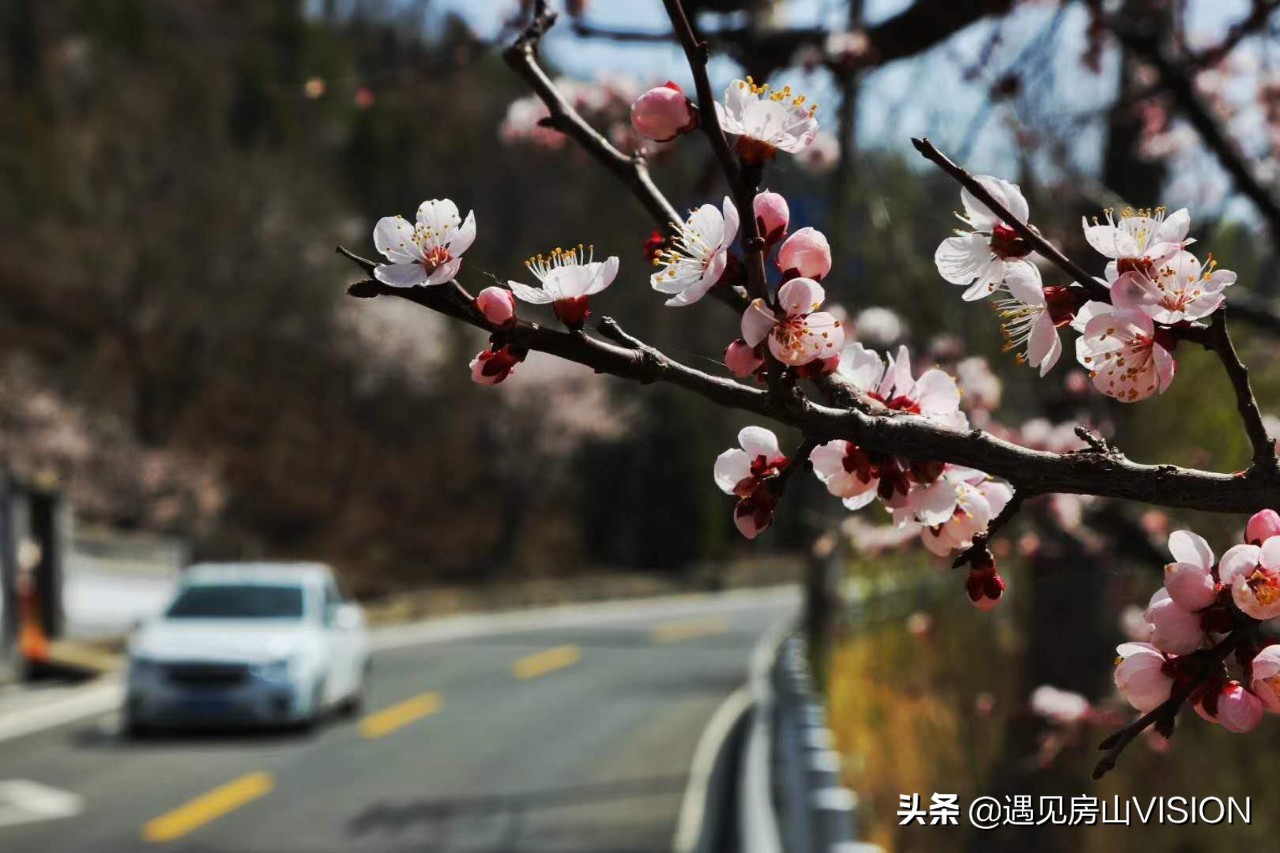 人间四月芳菲天,最美春天在房山——蒲洼行记