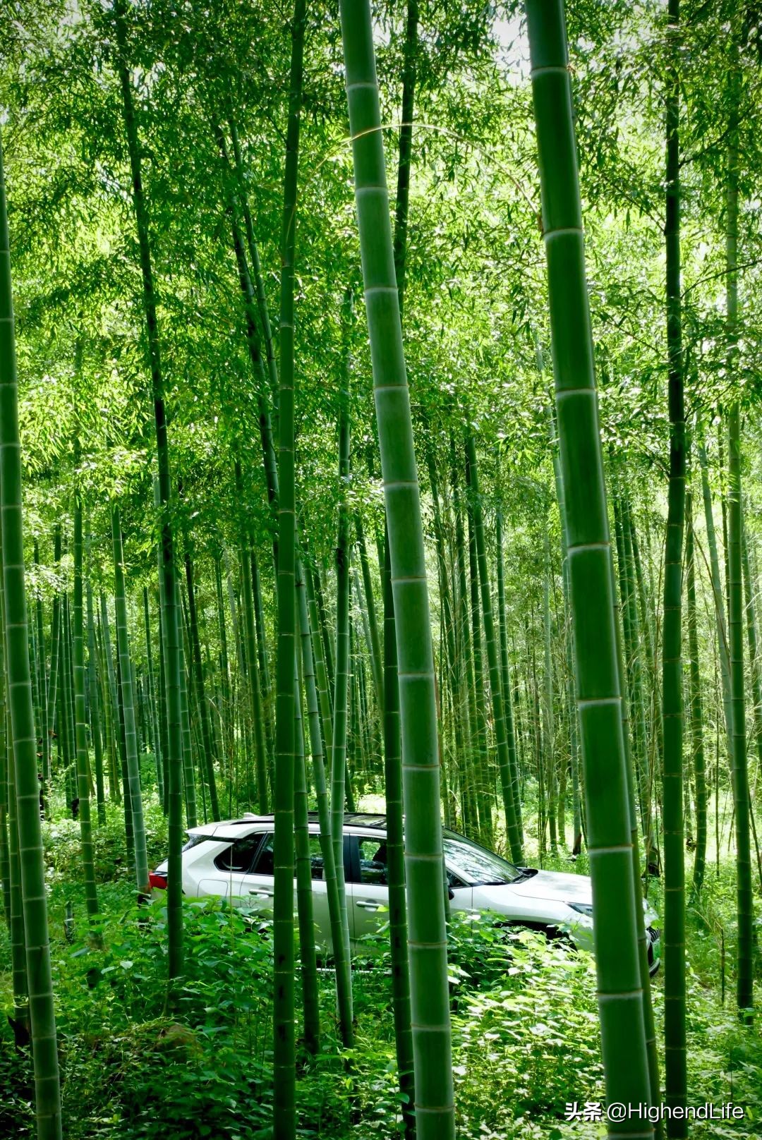 竹海、天池、蔓塘里丨请收下这份威兰达高性能版安吉自驾游指南