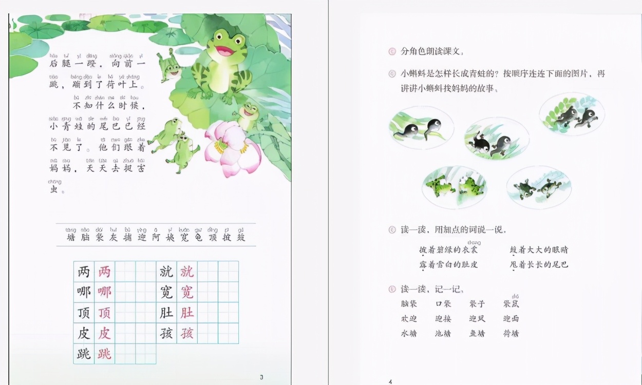 小蝌蚪找妈妈面试逐字稿,小蝌蚪找妈妈教资教案及逐字稿