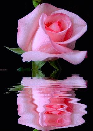 歌手主播团队,明星小主播朗诵