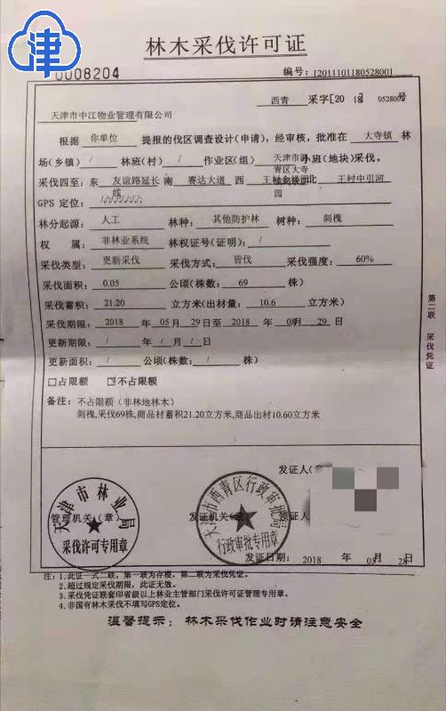 小区种树被砍伐,小区树木被砍伐由谁来处理