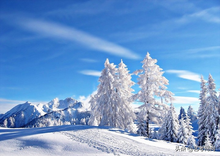 艺术生学摄影专业好不好?摄影大学毕业后的就业方向你了解吗?