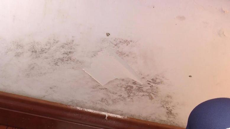 二手房墙体发霉怎么彻底解决,二手房墙壁发霉重新刷漆