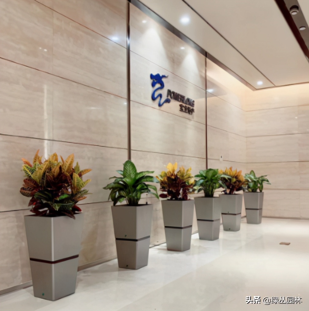 绿植合同怎么签,绿植租赁报价单怎么写