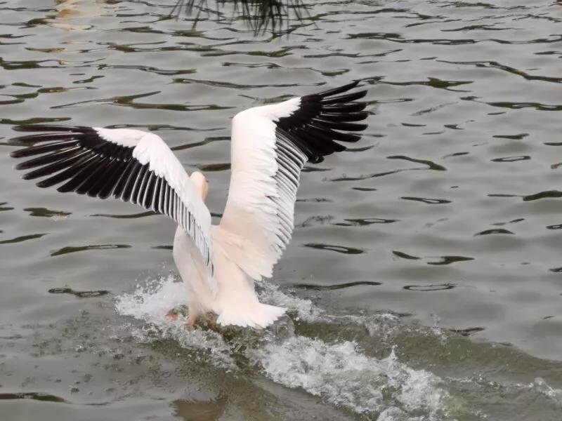 手拍世界摄影网,手拍世界微信公众号