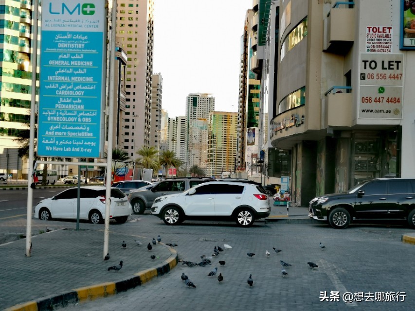 你见过真正的迪拜吗,一分钟让你了解迪拜
