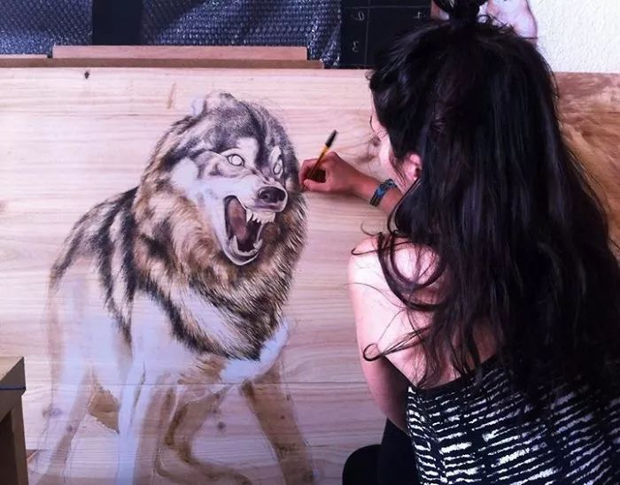 3d超写实彩铅画,超写实彩铅手绘细腻的让人咋舌