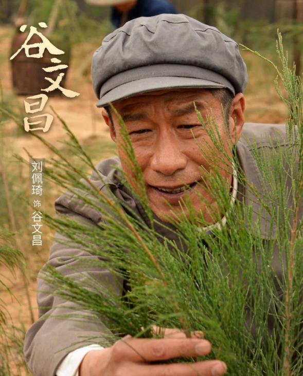 央视谷文昌回放,谷文昌新剧开播