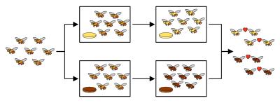 一本书读懂进化论电子版,一本书读懂进化论txt下载