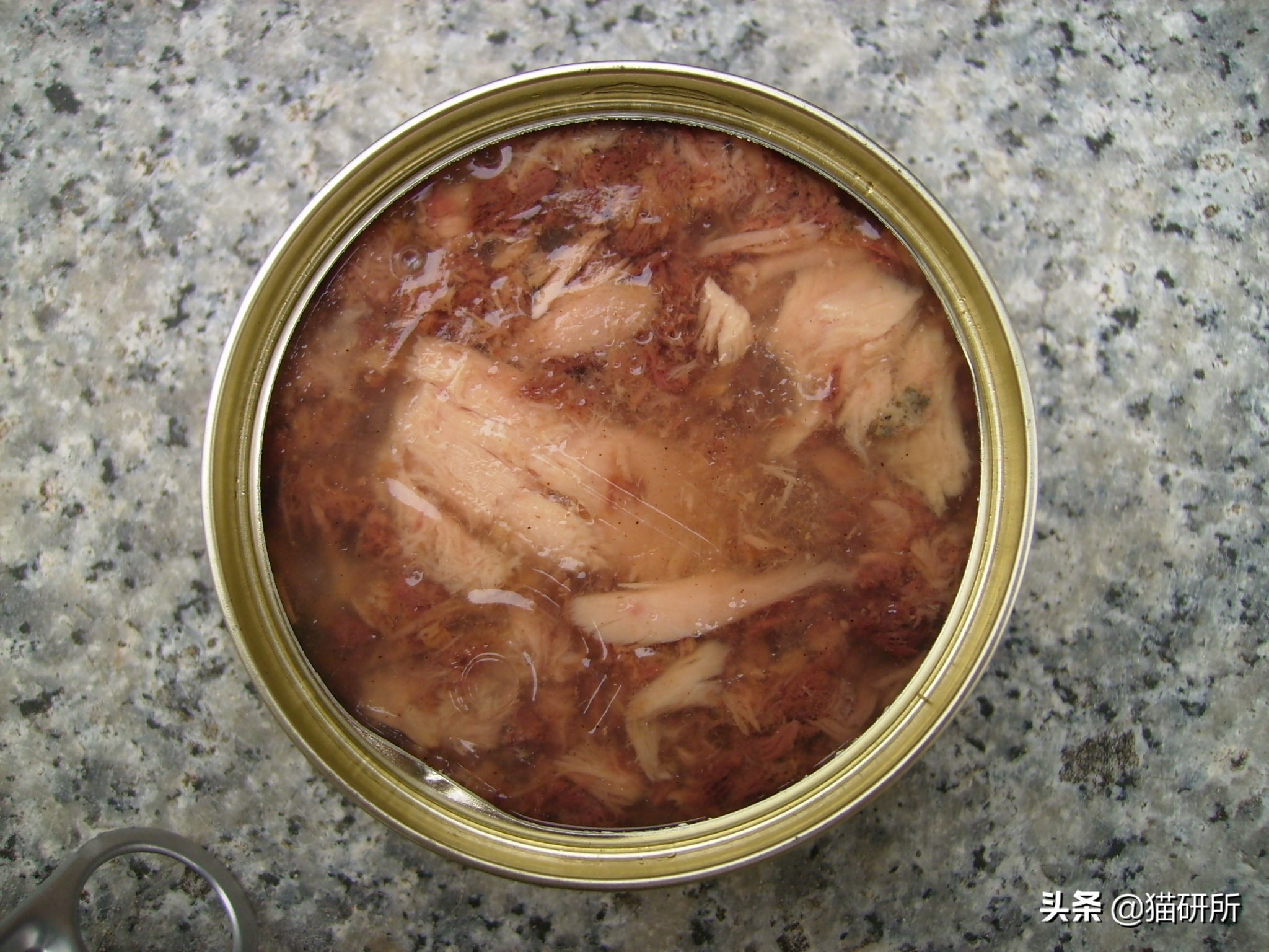 猫咪生病不进食怎么补充营养,猫咪生病后没有食欲怎么办