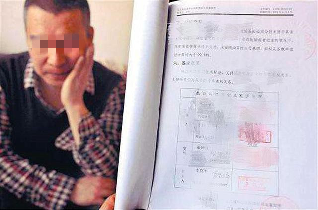 儿子太帅疑不是亲子鉴定真相,儿子太帅不像亲生亲子鉴定四次