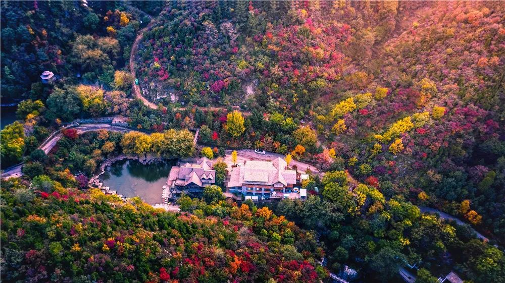 九如山什么季节去最好,九如山赏枫一日游