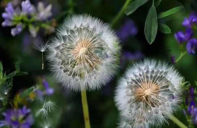 一张嘴就臭,一张嘴就口臭小妙招