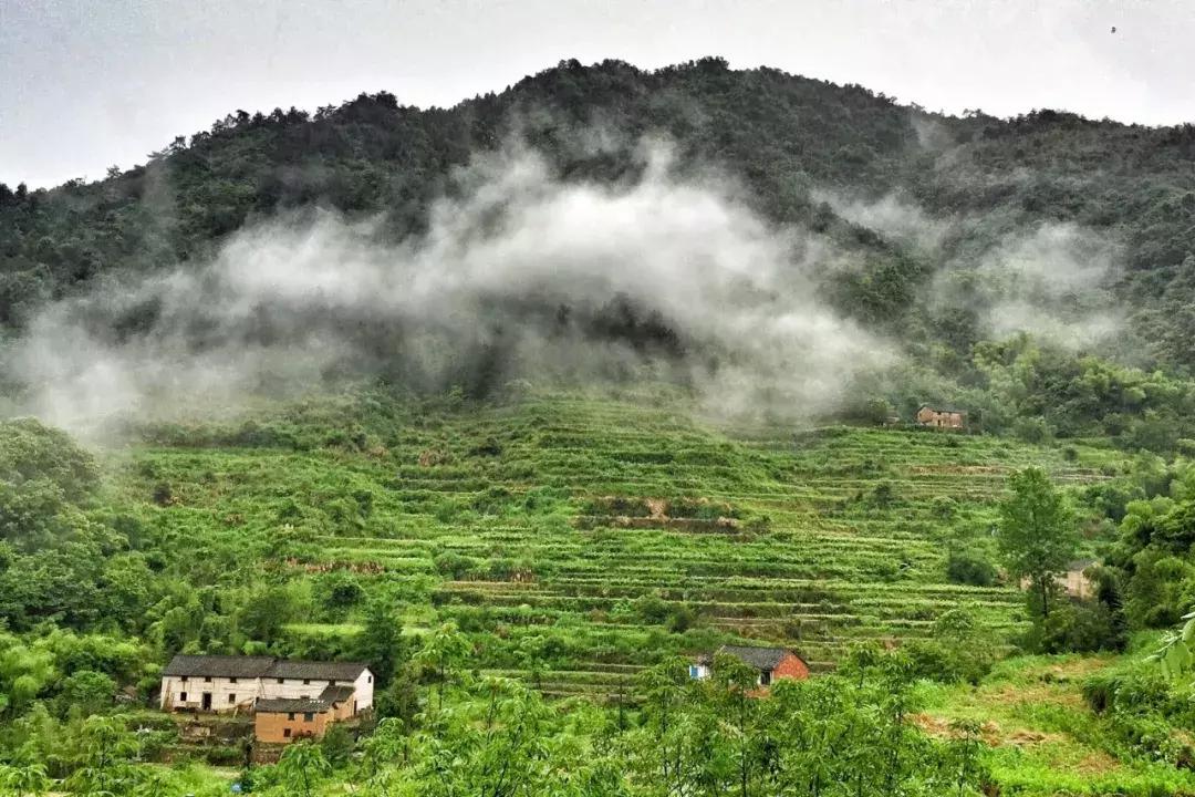 桐庐最美住宿,桐庐最美的客栈