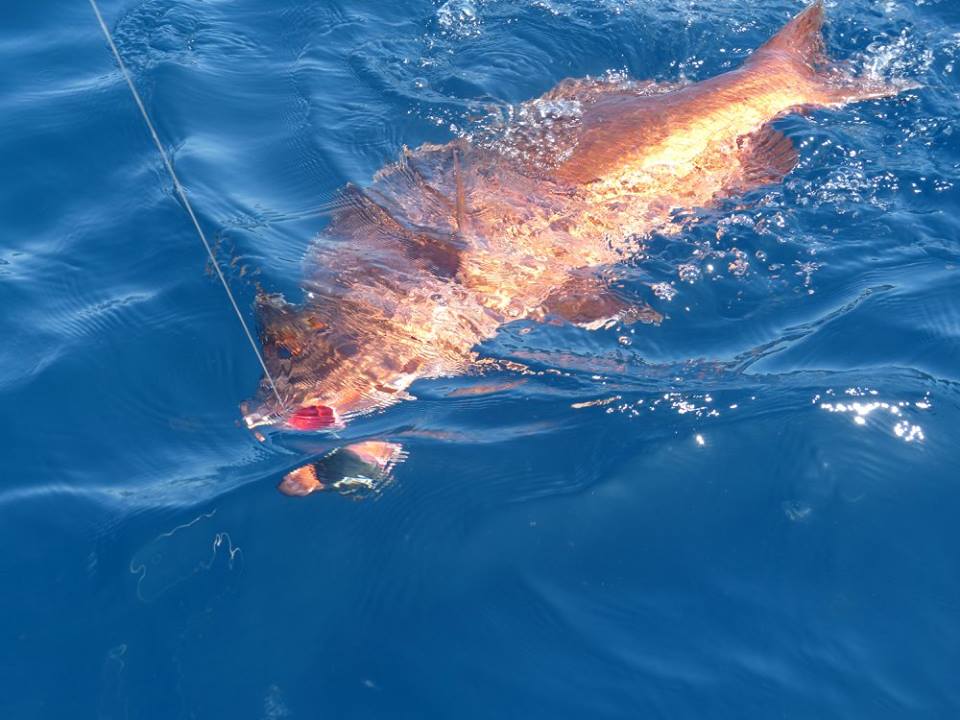 世界各地钓鱼爱好者,世界各地钓鱼的人