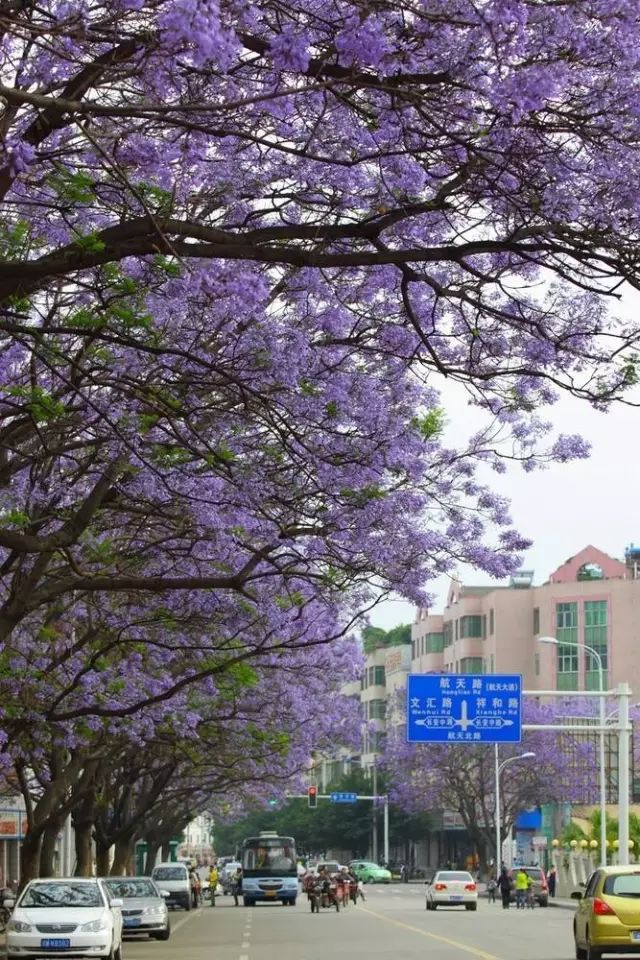 成都这座古城从不缺幻想和故事,四川藏着一个静谧古城