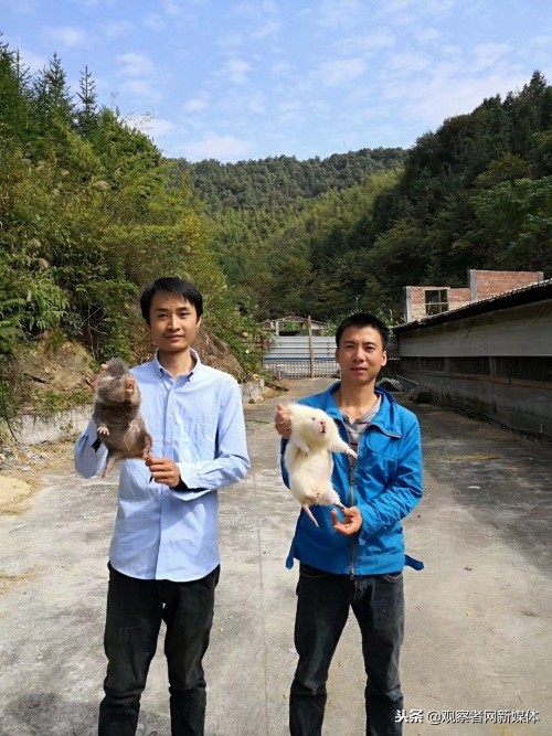 鍗庡啘鍏勫紵鍙嬫儏,鍗庡啘鍏勫紵娌宠竟