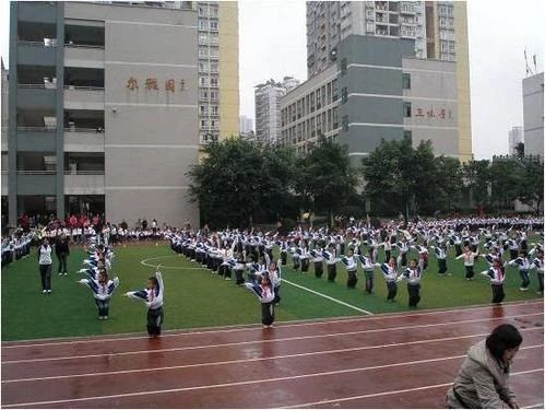 重庆小学学费一年多少钱,重庆小学为什么这么贵