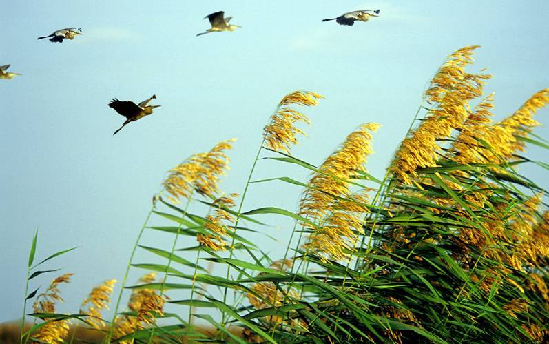 去一次大西北等于远行十次,去宁夏旅游的最佳地方