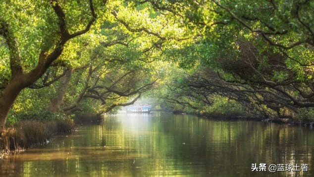 宝岛台湾的什么地方也很有名,宝岛台湾出名的地方