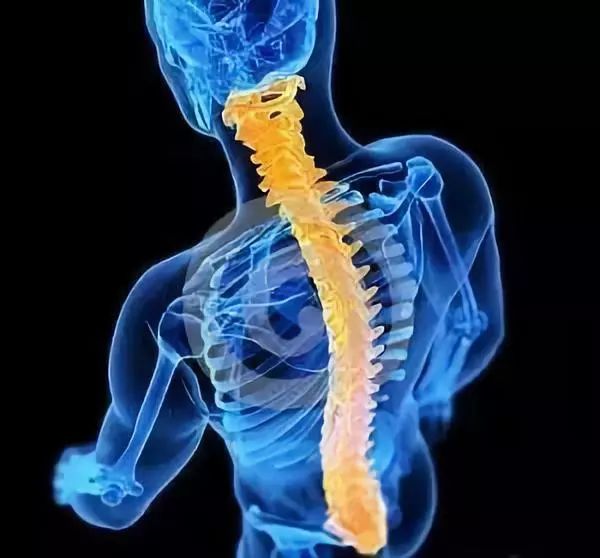 上吊式锻炼危害,上吊式锻炼安全吗