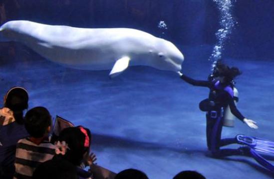 高温下的特殊职业,高温下最辛苦的职业