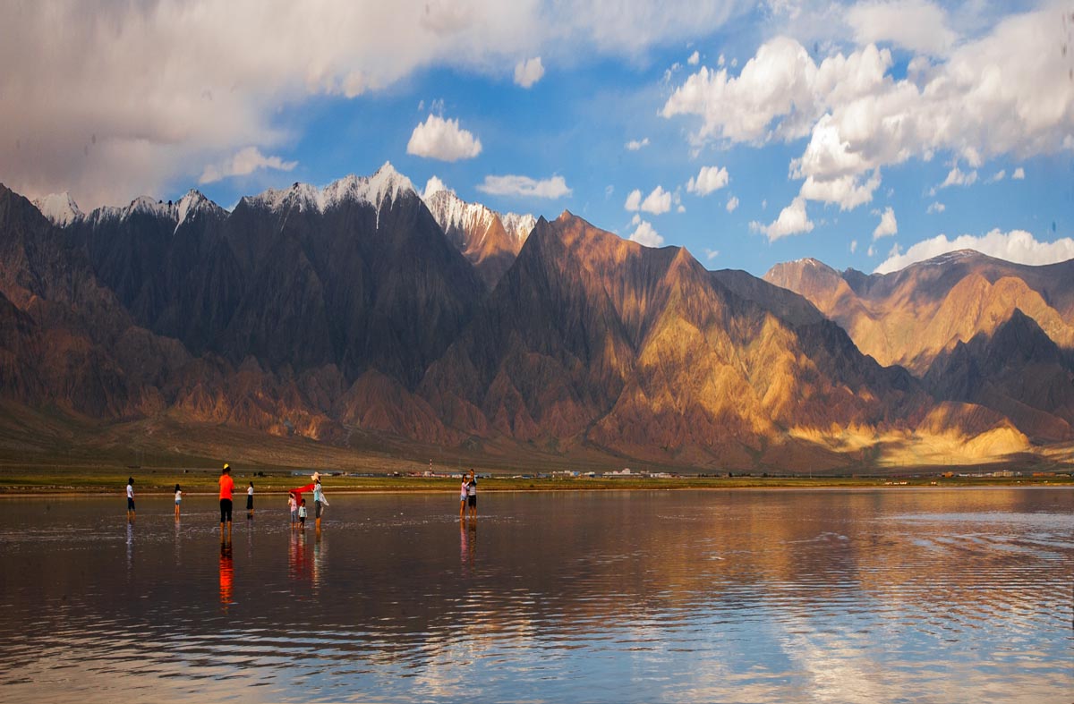 我的旅行日记之青海,我的旅行日记高原茶场