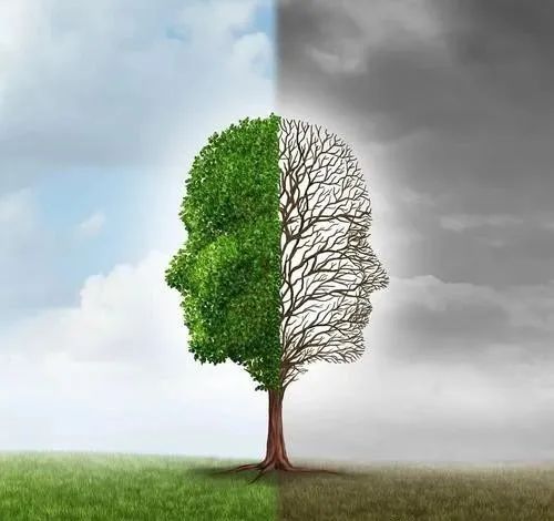 心理学100个定律精辟解释,人际关系心理学的100条定律