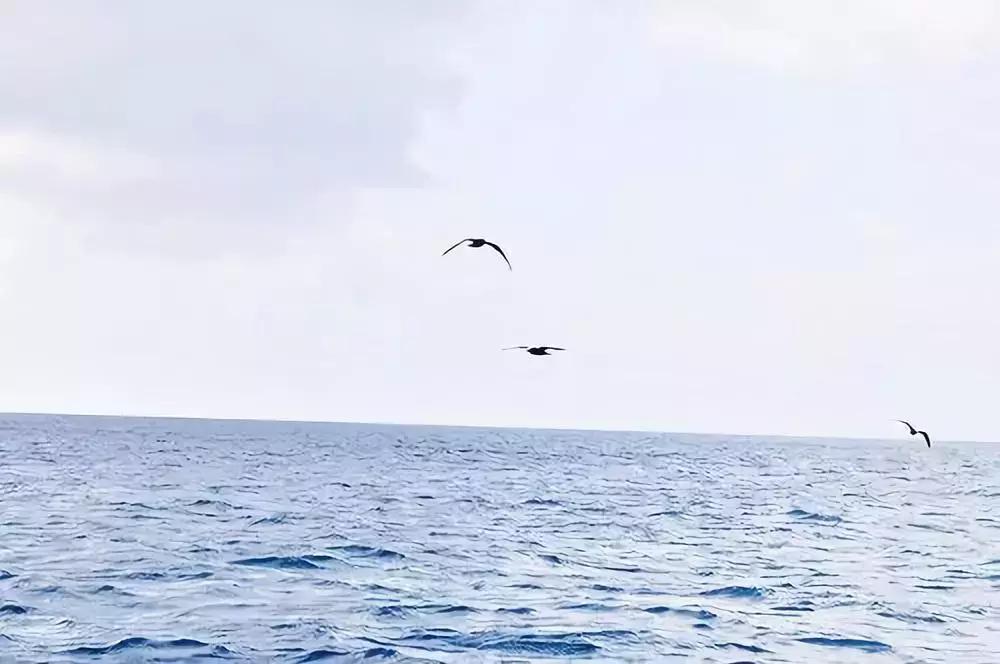 升米恩斗米仇原文出处,升米恩斗米仇深度解析