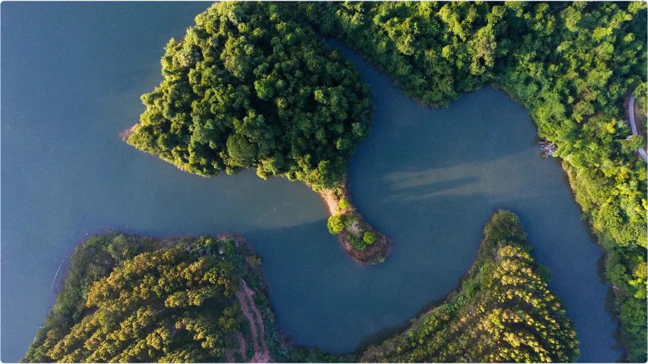 每个人心中都有一个西双版纳,西双版纳最吸引你的是什么