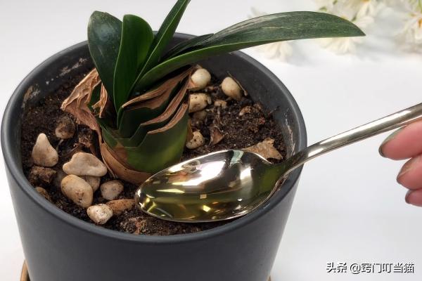 油烟机里的“废油”，一滴都不要倒掉，特别“值钱”，省钱又实用