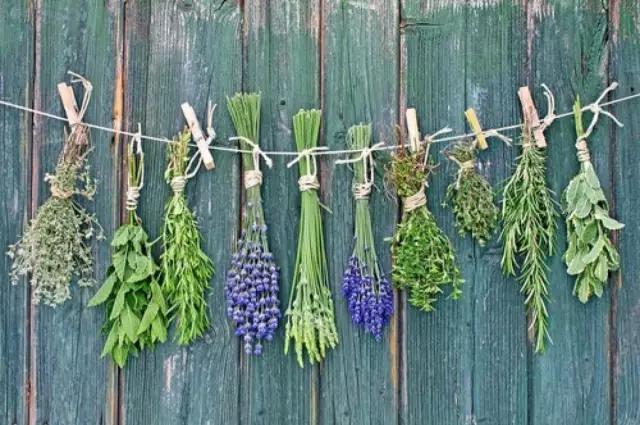 什么花都适用的制干花方法,哪些花卉做干花效果最好