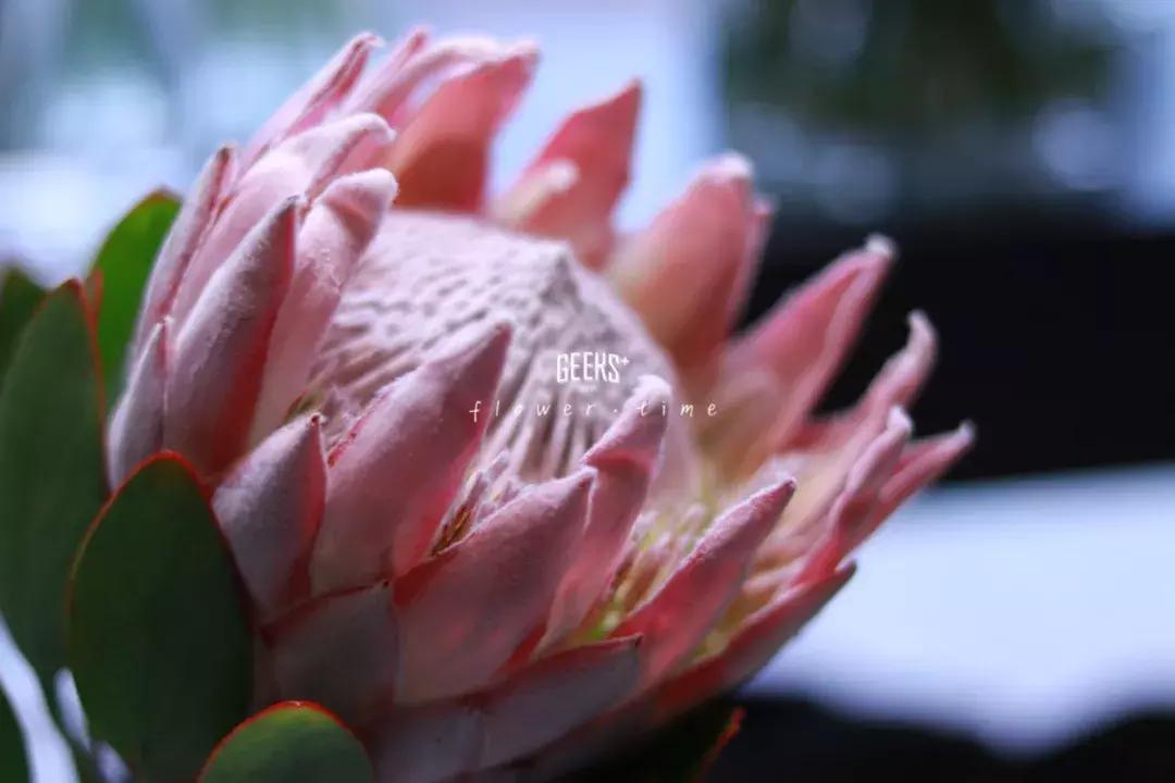 免费送tf口红,tf口红免费送