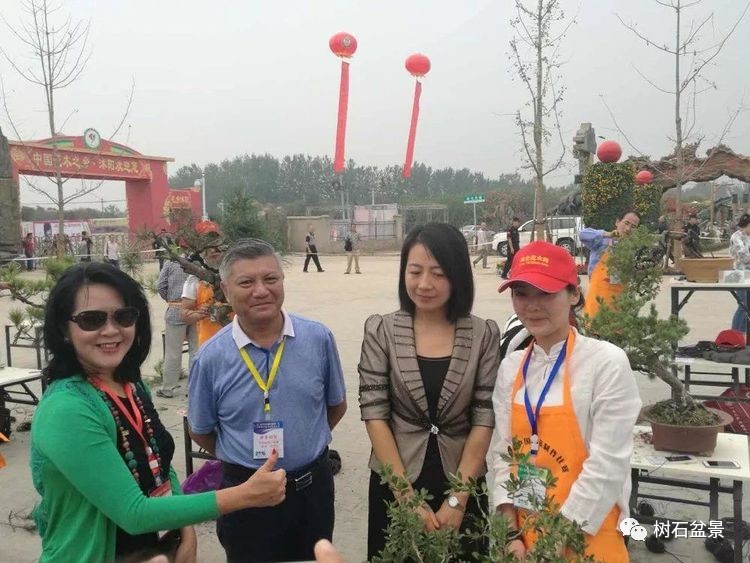 杨派盆景传承人,杨派盆景非遗传承人