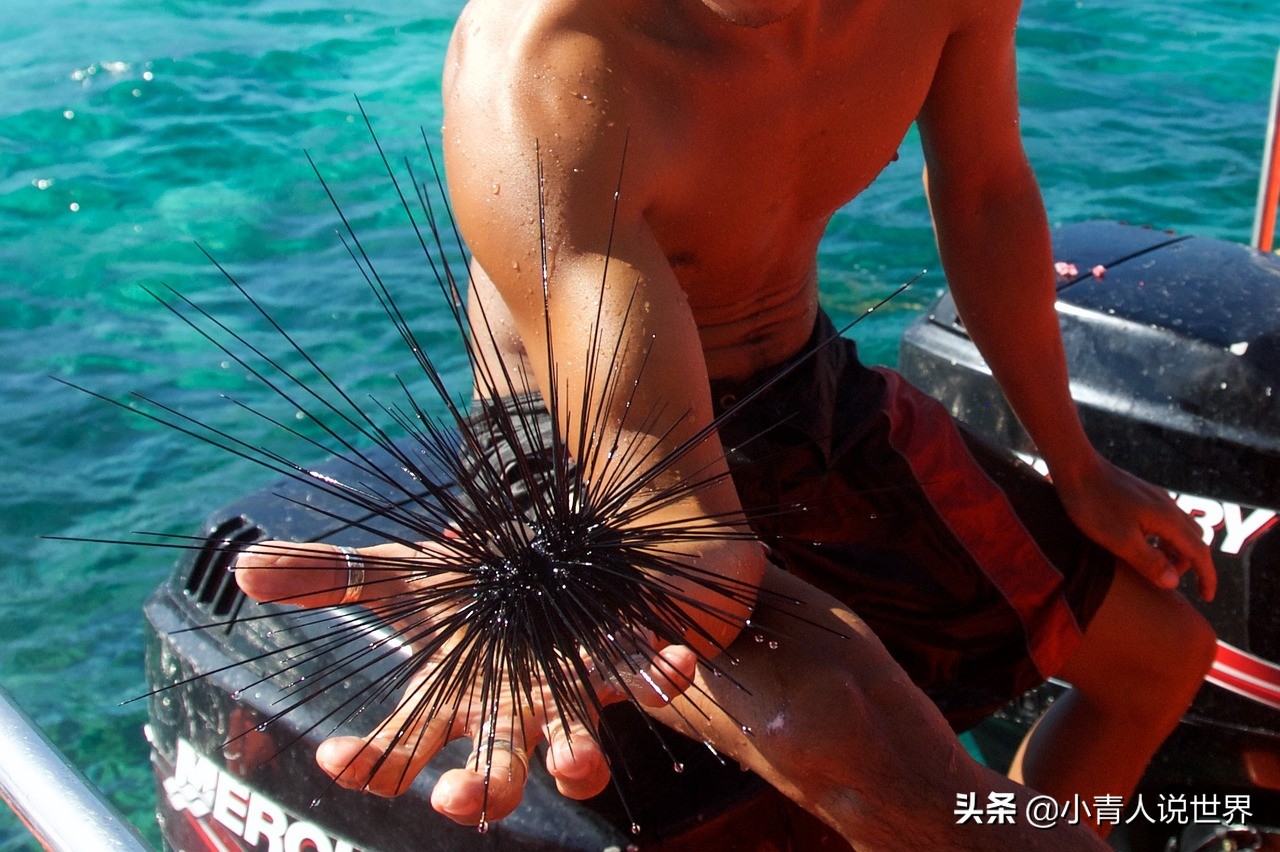 菲律宾充满诱惑但是它也面临一些问题,菲律宾是个怎样的国家