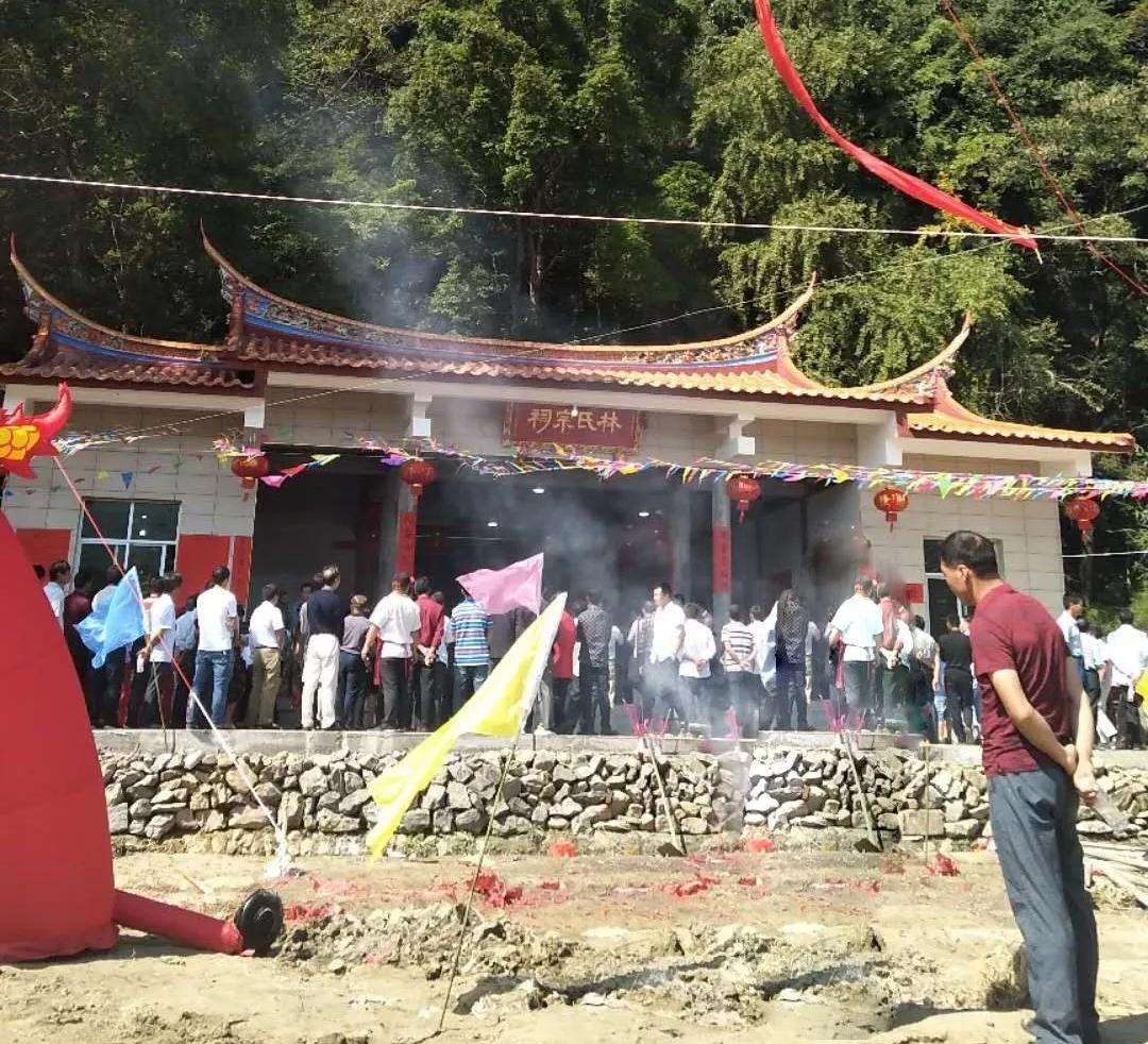 大田广平元沙林氏宗祠,林氏祠堂有哪些